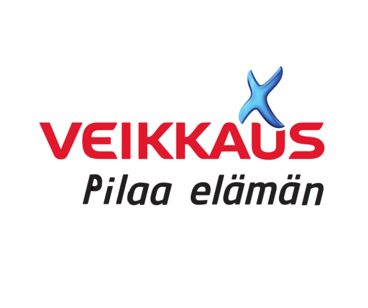 Valtarakenteet näkyviksi(12)