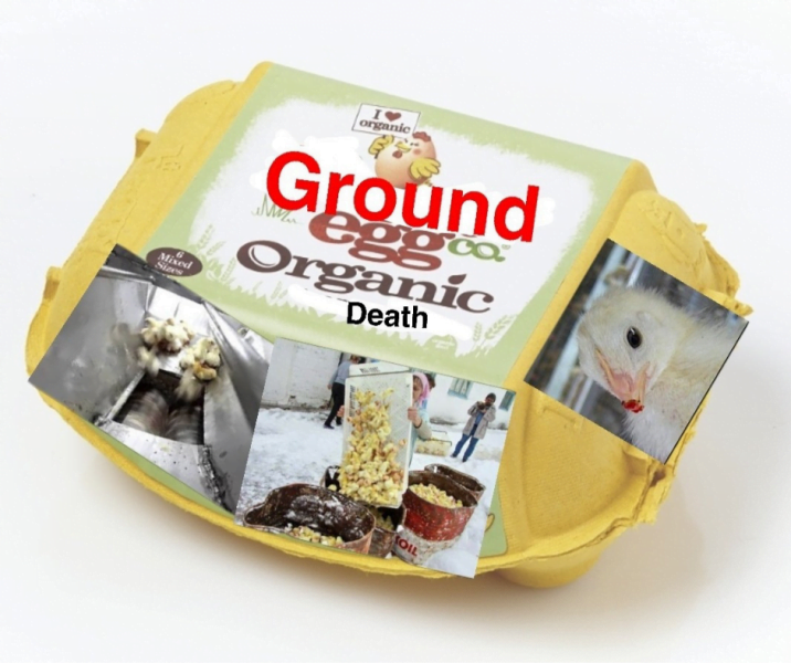 Valtarakenteet näkyviksi(14)